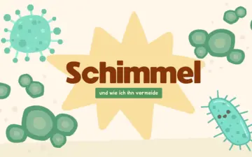 Schimmel Maßnahmen Kopie Bild